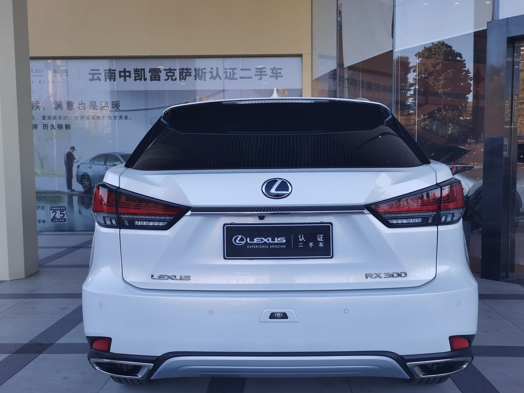 雷克萨斯RX 300 2.0T A/MT四驱典雅版[201511]