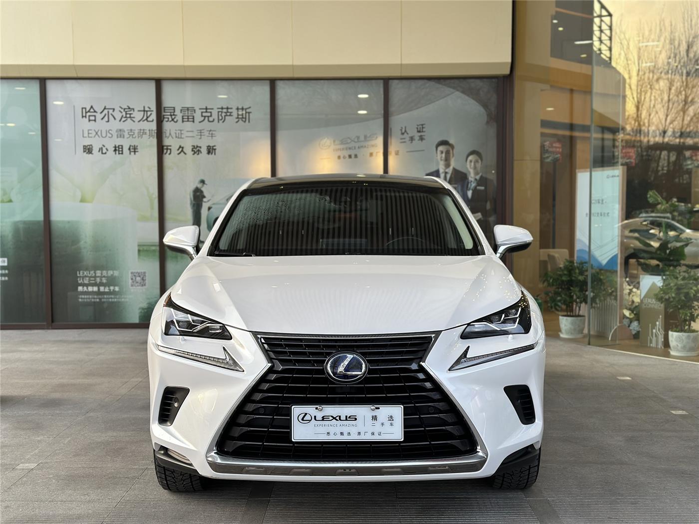 雷克萨斯NX 300h 2.5 CVT四驱锋致版油电混合[201708]