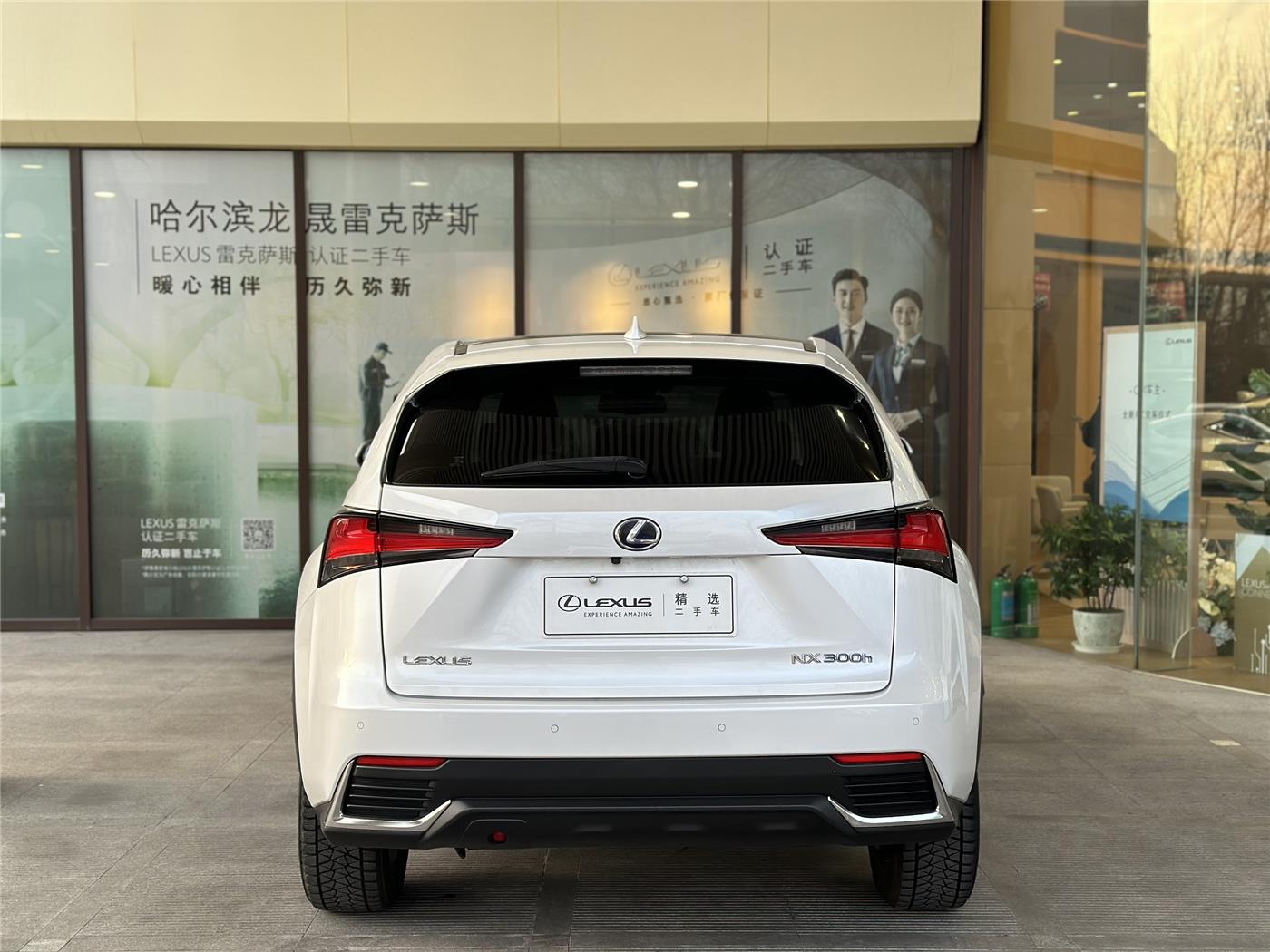 雷克萨斯NX 300h 2.5 CVT四驱锋致版油电混合[201708]