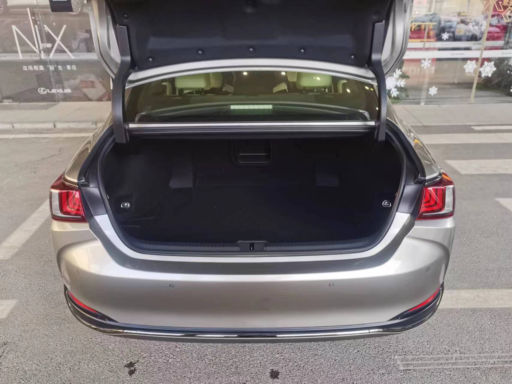 雷克萨斯ES 300h 2.5 CVT F SPORT油电混合[202108]