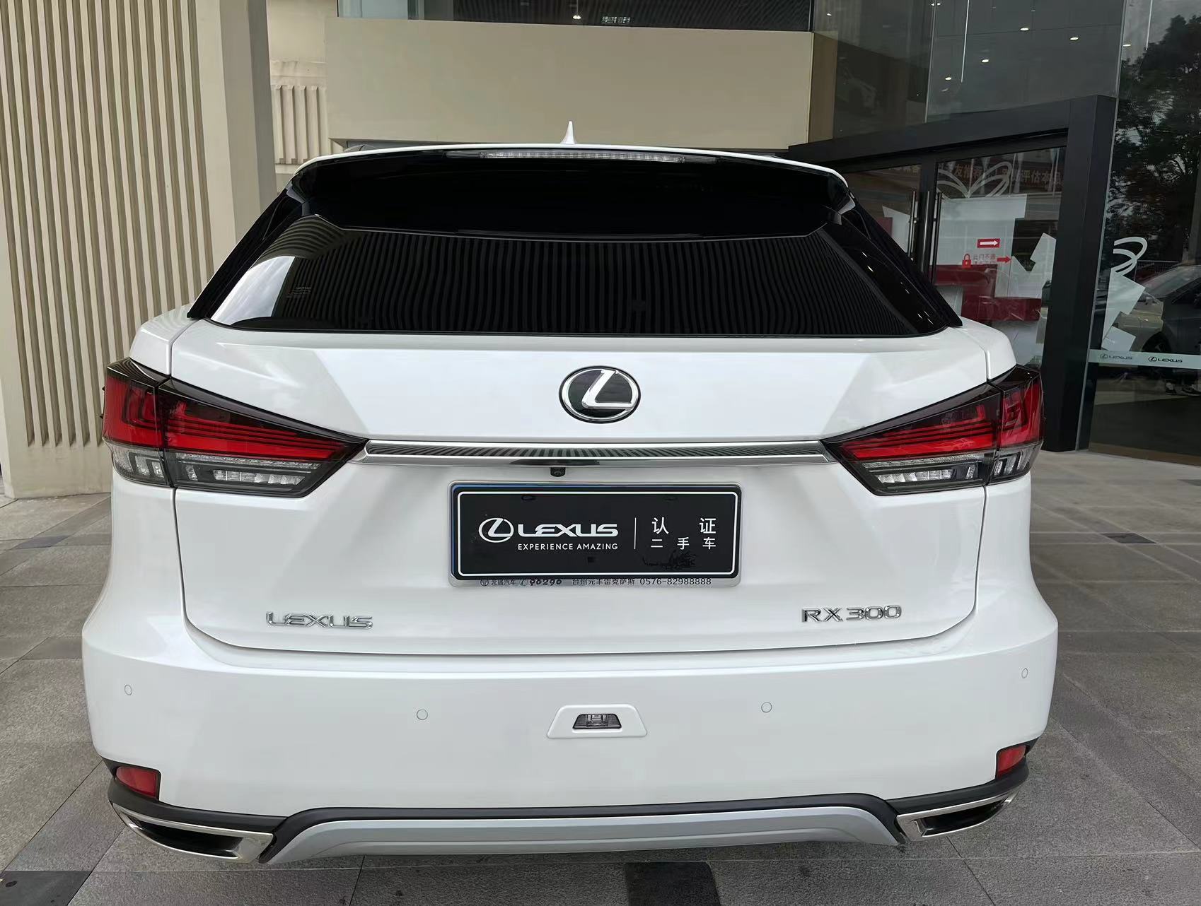 雷克萨斯RX 300 2.0T A/MT四驱典雅版(国Ⅴ)[201909]