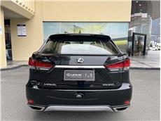 雷克萨斯RX 300 2.0T A/MT改款前驱精英版[202007]