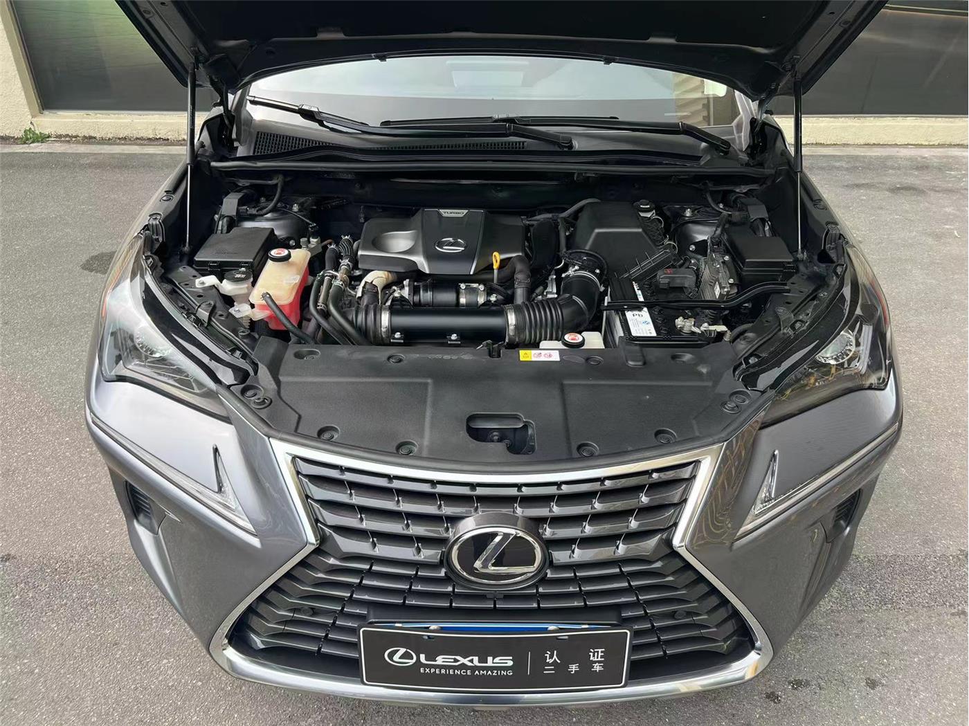 雷克萨斯NX 300 2.0T A/MT前驱锋行版[201708]